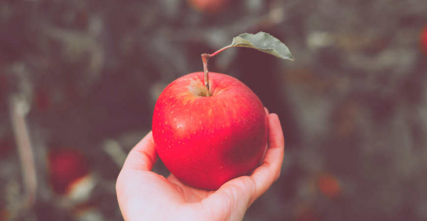 MANGER LOCAL | La Pommeraie Vous avez fait le choix de manger local  ? Guebwiller