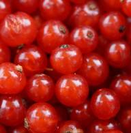 Production et vente de fruits et produits frais à côté de Colmar Sélestat 1