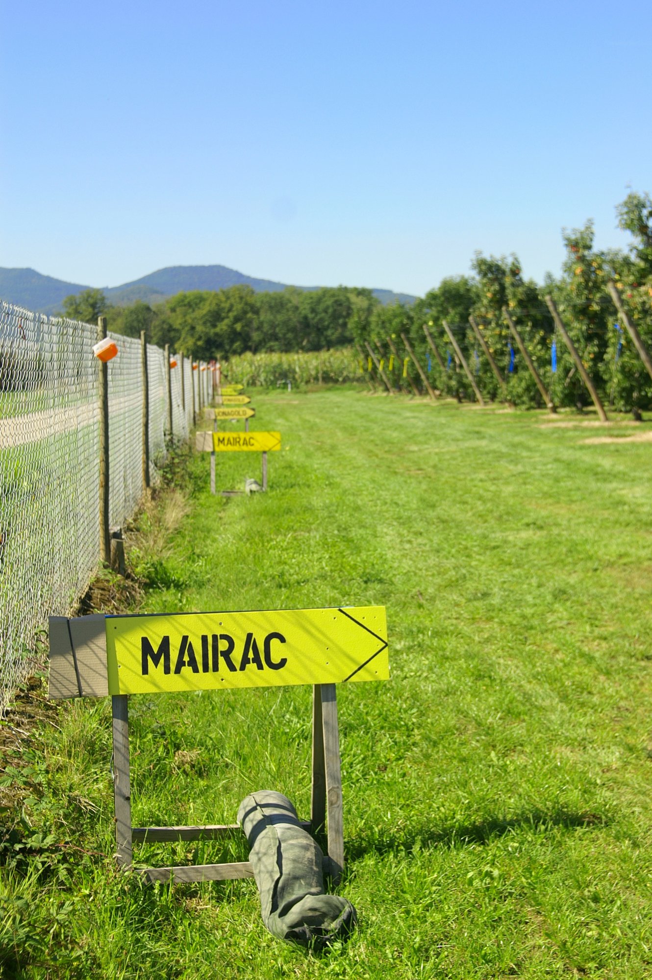 Les produits de saison et les activités ! Wittelsheim