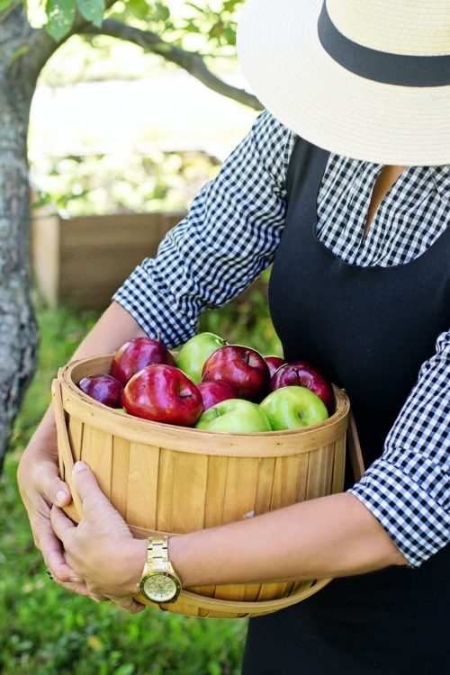 La Pommeraie : votre producteur de fruits de saison. Soultz-Haut-Rhin 2