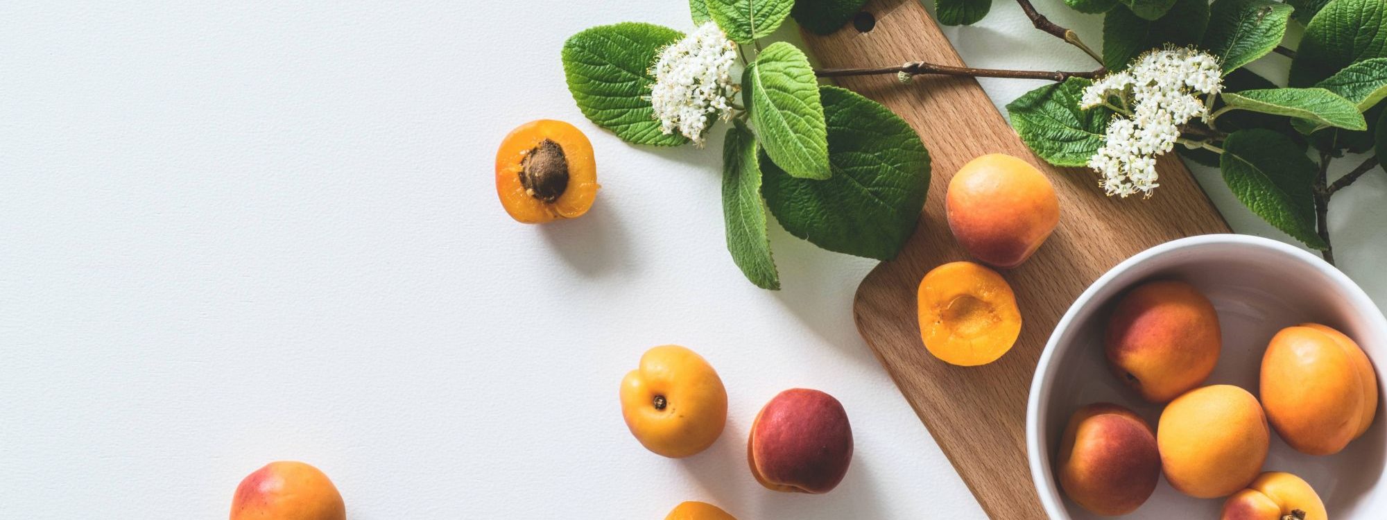 ACTIVITES_CUEILLETTE_ABRICOT_5 2000X750 | La Pommeraie Comment cultiver des abricots ? Sélestat