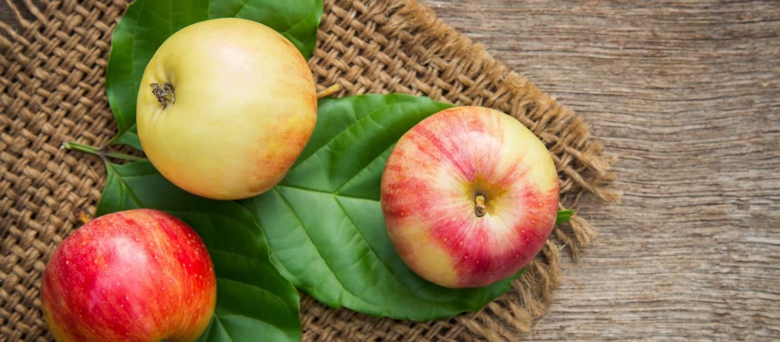 ACTIVITES_CUEILLETTE_POMMES_2 1140X500 | La Pommeraie Produits frais et locaux près de Colmar : fruits et légumes, épicerie fine, boissons Colmar 11
