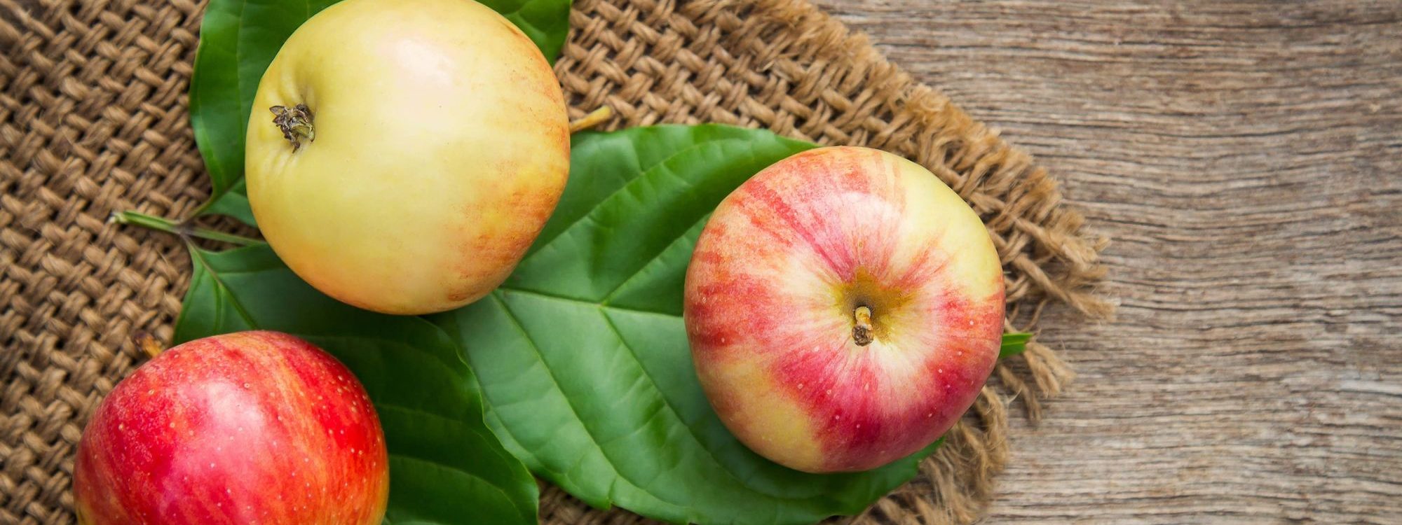 ACTIVITES_CUEILLETTE_POMMES_2 2000X750 | La Pommeraie Pourquoi faut-il manger une pomme par jour ? Wintzenheim