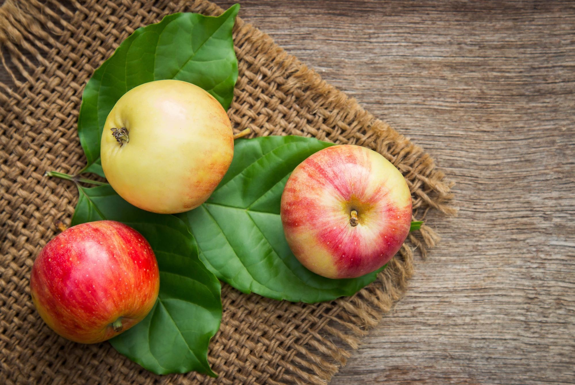 Pourquoi faut-il manger une pomme par jour ? Wintzenheim