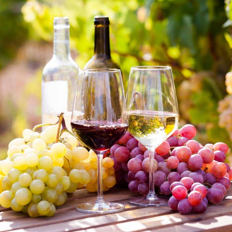 Produits frais et locaux près de Colmar : fruits et légumes, épicerie fine, boissons Soultz-Haut-Rhin 4