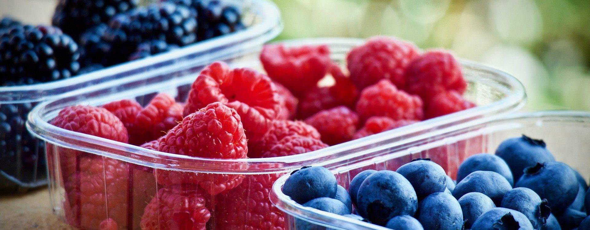 Comment conserver les produits frais ? Benfeld