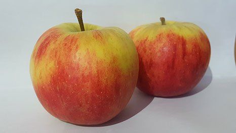 Quelle variété de pomme choisir ? Ensisheim 2