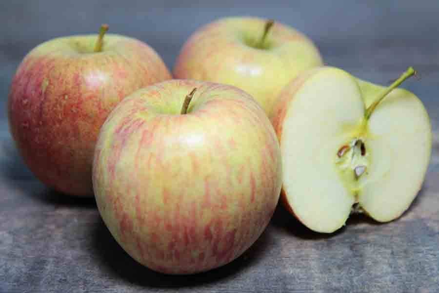 Quelle variété de pomme choisir ? Wintzenheim 11