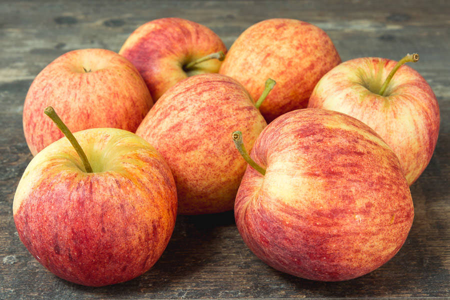 Quelle variété de pomme choisir ? Colmar 3