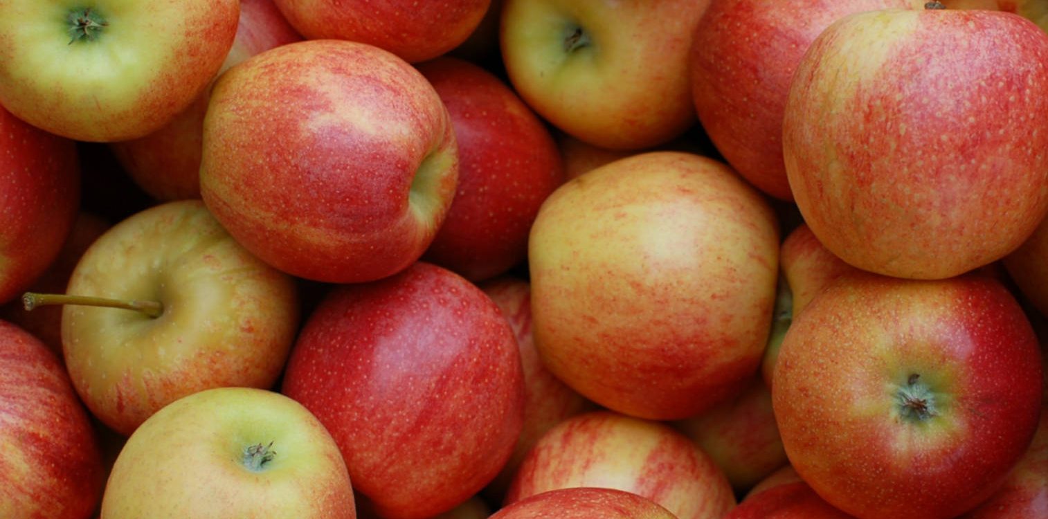 OFFRE SPECIALE DUO DE POMMES EN COLIS DE 5 KGS- 9.90€  LE COLIS SOIT 1.98€ LE KILO. PROFITEZ EN !!!! Ensisheim