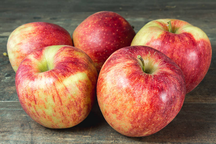 Quelle variété de pomme choisir ? Gérardmer 10