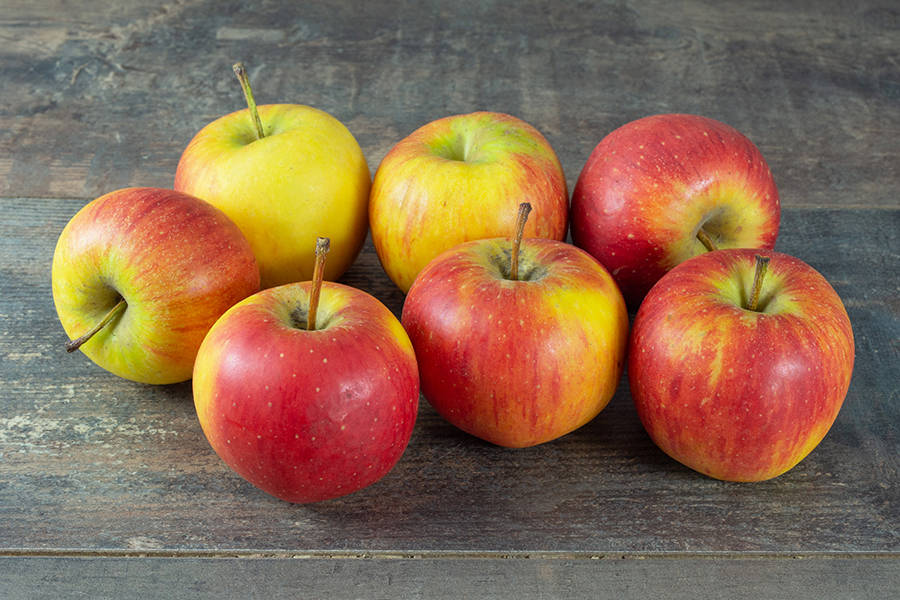 Quelle variété de pomme choisir ? Wittelsheim 6