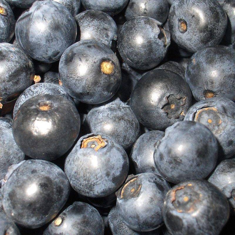 Production et vente de fruits et produits frais à côté de Colmar Ensisheim 4