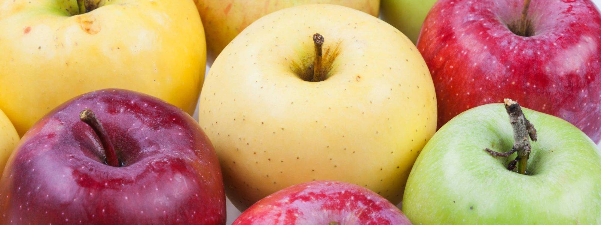 Quelles sont les différentes variétés de pommes ? Barr