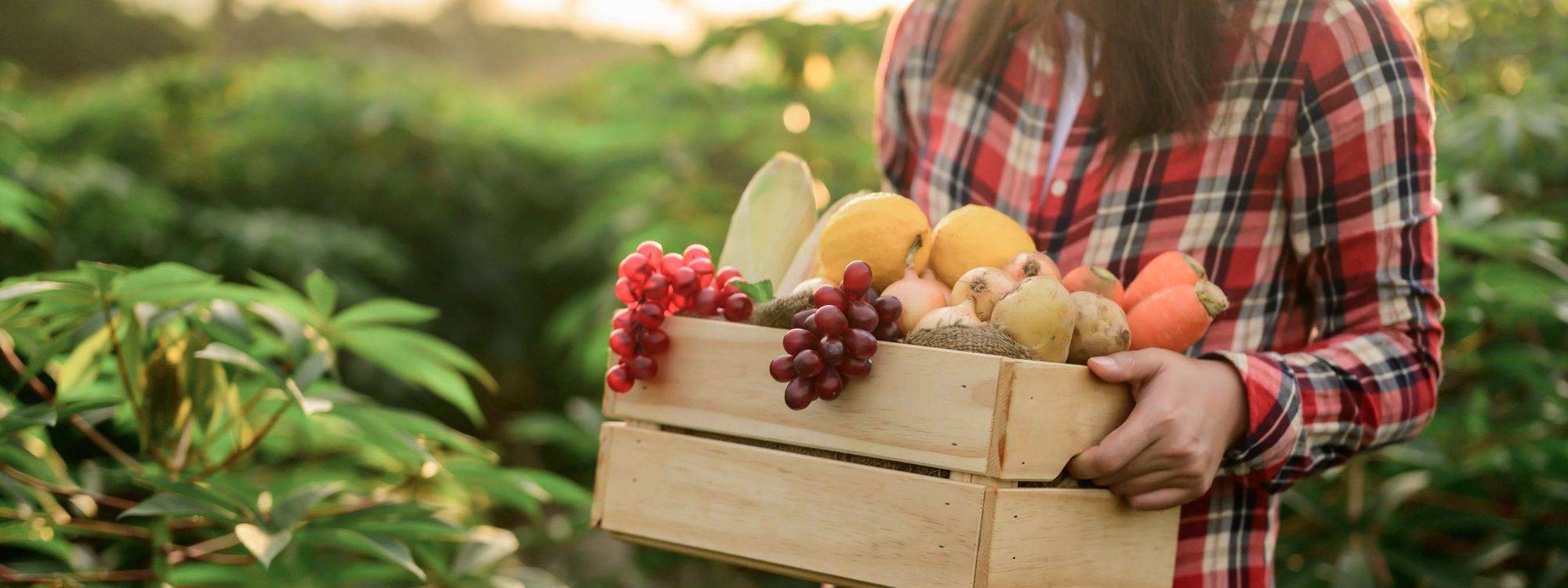 Pourquoi privilégier les fruits et légumes de saison ? Sélestat