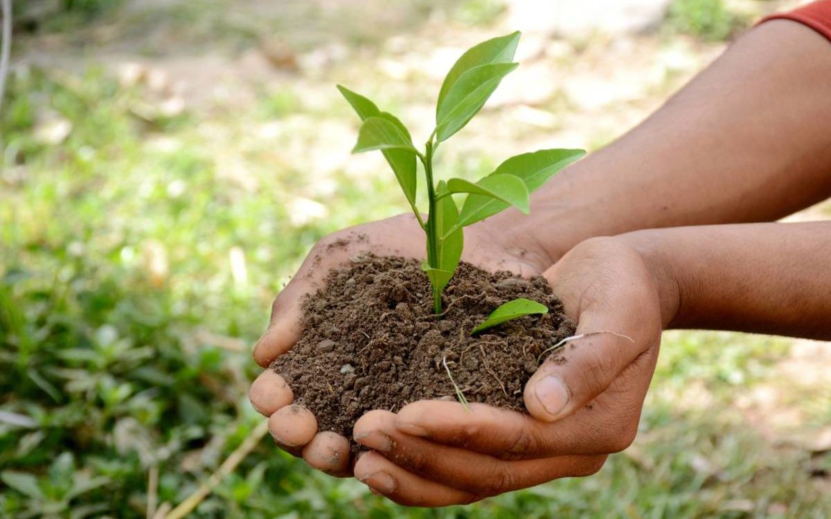 ECO_RESPONSABLE 1200X750 | La Pommeraie Qu’est-ce qu’une démarche éco-responsable ? Guebwiller