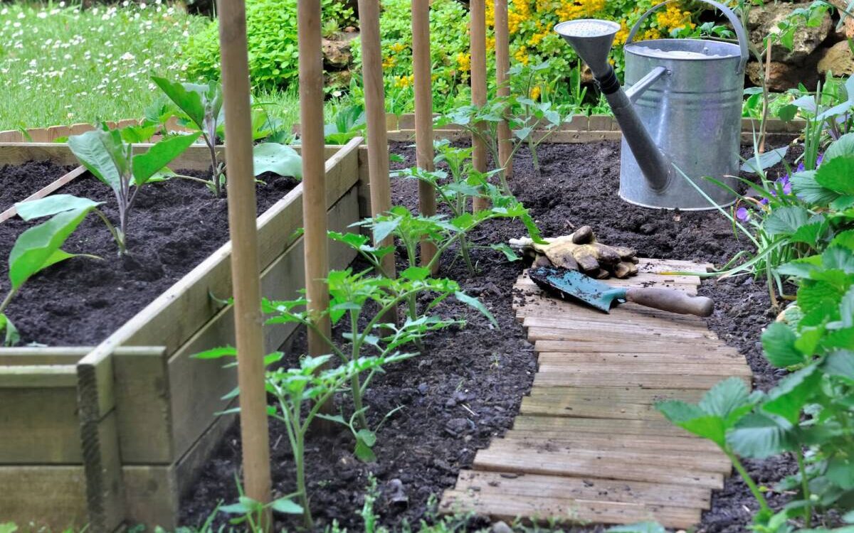 Comment préparer son potager et à quelle période ? Wittenheim