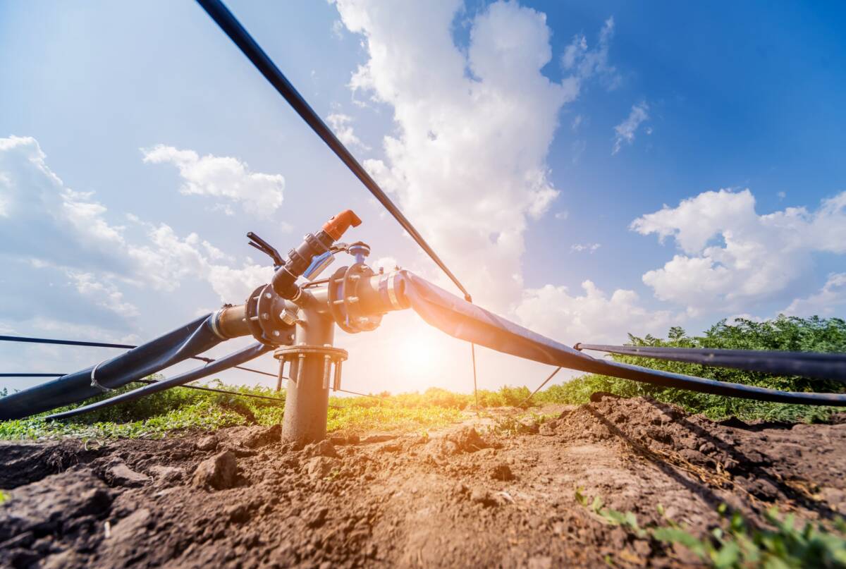Quels sont les avantages du système d’irrigation au goutte-à-goutte pour les fruits ? Benfeld