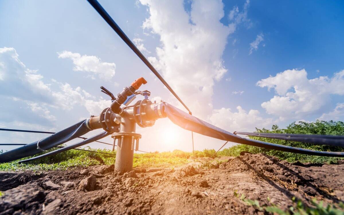 Quels sont les avantages du système d’irrigation au goutte-à-goutte pour les fruits ? Benfeld