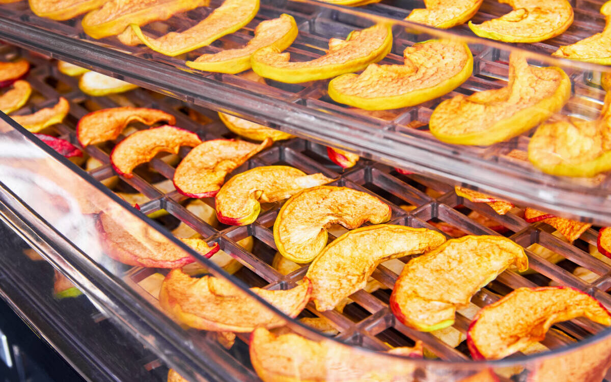 FAIRE_FRUITS_SECS_MAISON 1200X750 | La Pommeraie Comment faire des fruits secs maison et avec quelle méthode ? Wittelsheim