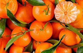 nous serons là dès le mardi 7 janvier pour démarrer une année vitaminée à vos côtés! Wittelsheim