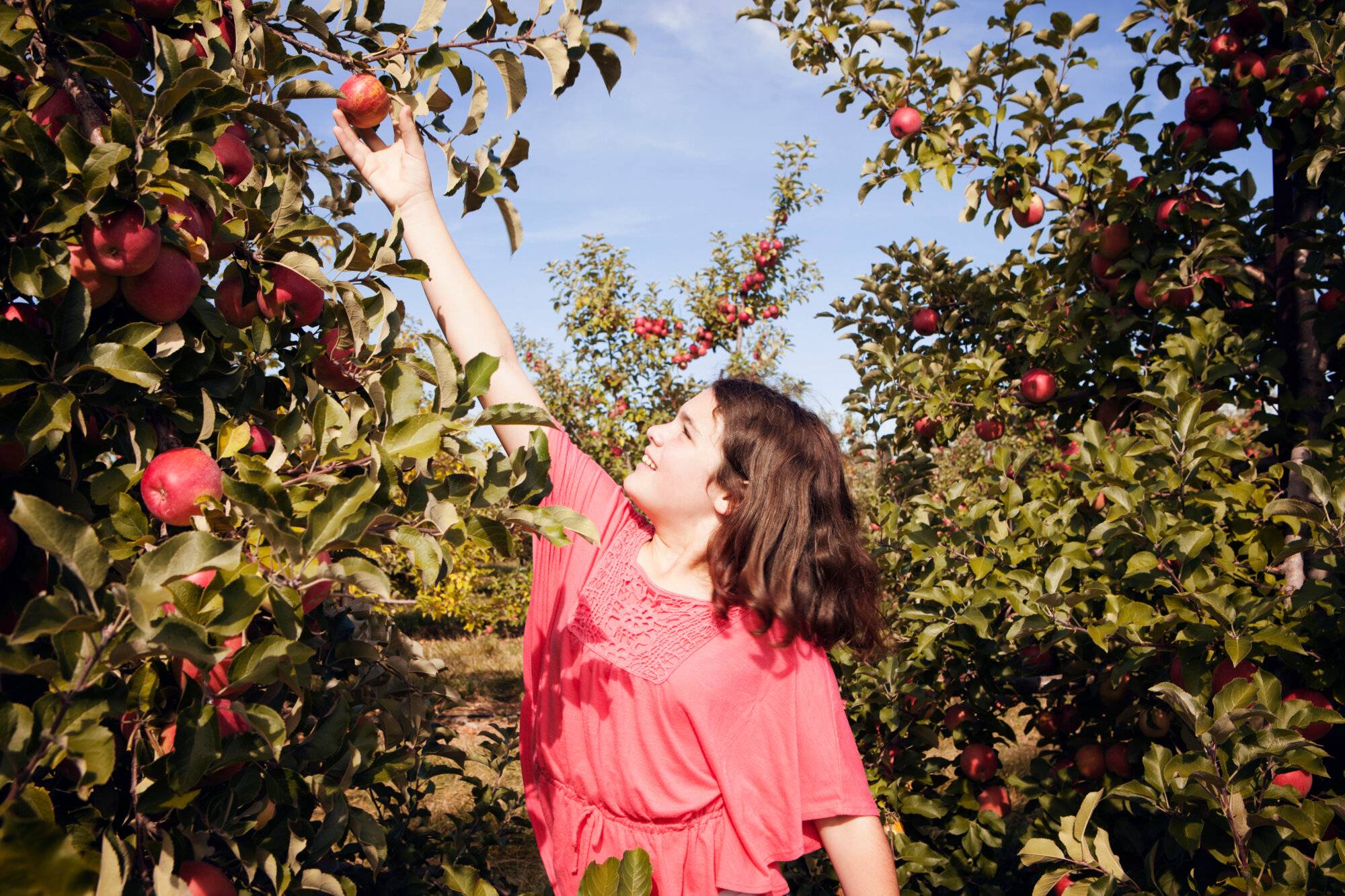 La Pommeraie : votre producteur de fruits de saison à Ammerschwihr Ensisheim 0