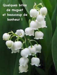 Le 1 er Mai votre magasin sera ouvert de 10h à 18h ! Avec le soleil !! Guebwiller