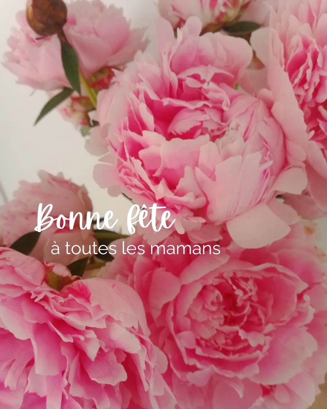 Toute l&#8217;équipe de la Pommeraie souhaite une bonne fête des mères à toutes les mamans. Sélestat
