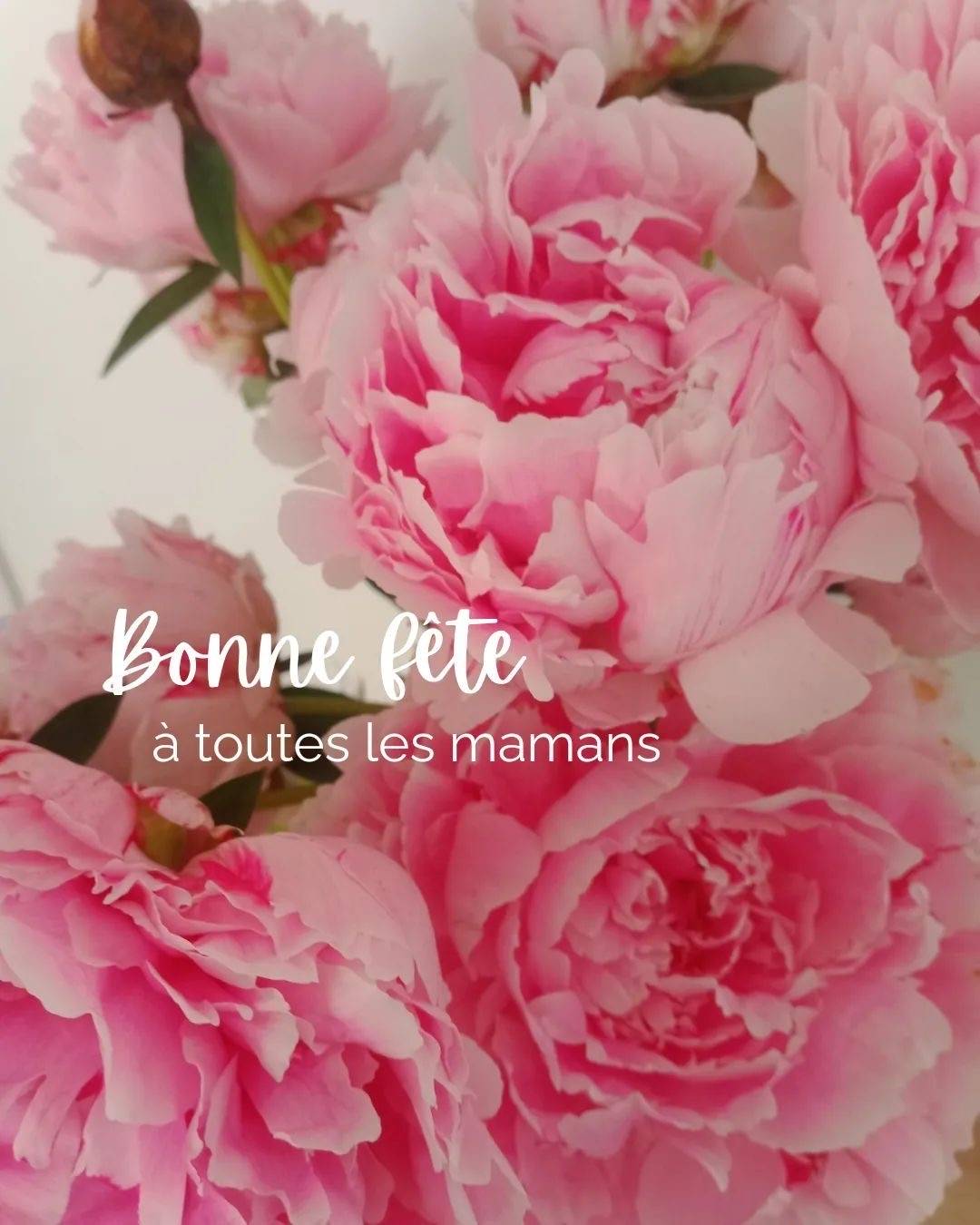 Toute l&#8217;équipe de la Pommeraie souhaite une bonne fête des mères à toutes les mamans. Sélestat