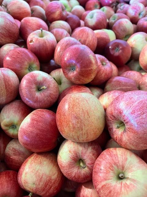 Comment reconnaître un fruit à maturité parfaite ? Barr