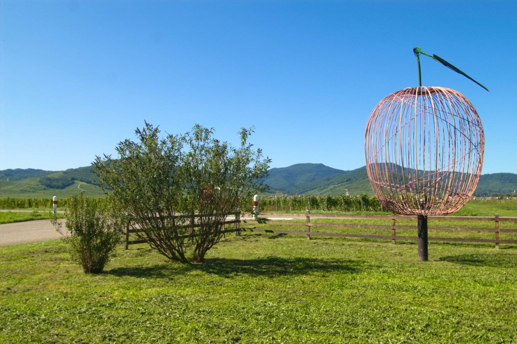 FERME LA POMMERAIE AMMERSCHWIHR PRODUCTEUR | La Pommeraie La Pommeraie, producteur de fruits de saison à Ammerschwihr Ensisheim 0
