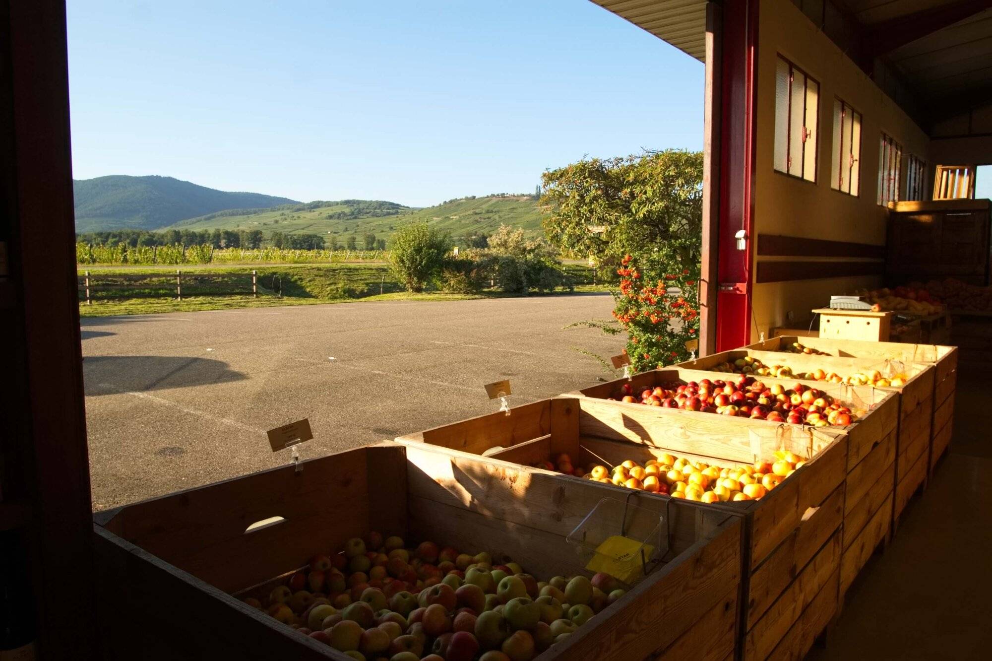 LA POMMERAIE MAGASIN VENTE POMMES | La Pommeraie Photos page d’accueil Wittelsheim 6