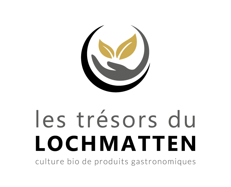 Les tr&eacute;sors du Lochmatten