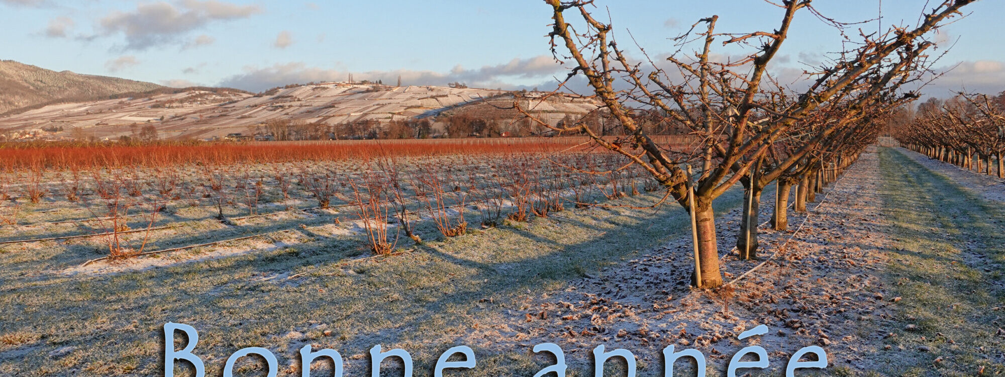 La Pommeraie vous adresse ses meilleurs v&oelig;ux et vous remercie pour votre fid&eacute;lit&eacute;. Nouveaux horaires : du mardi au samedi de 9 h &agrave; 18 h.