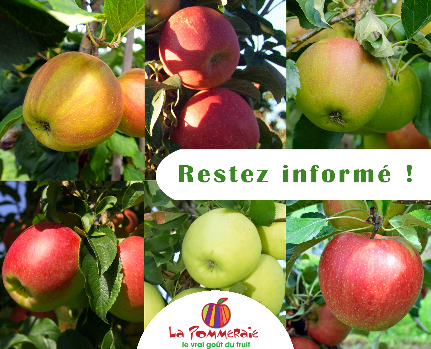Inscrivez-vous sur notre liste de diffusion !