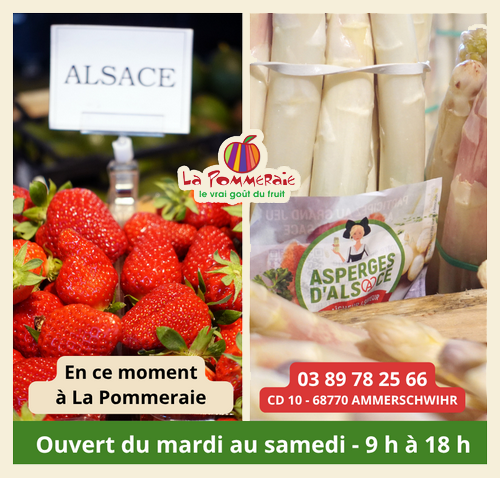 En ce moment dans notre magasin