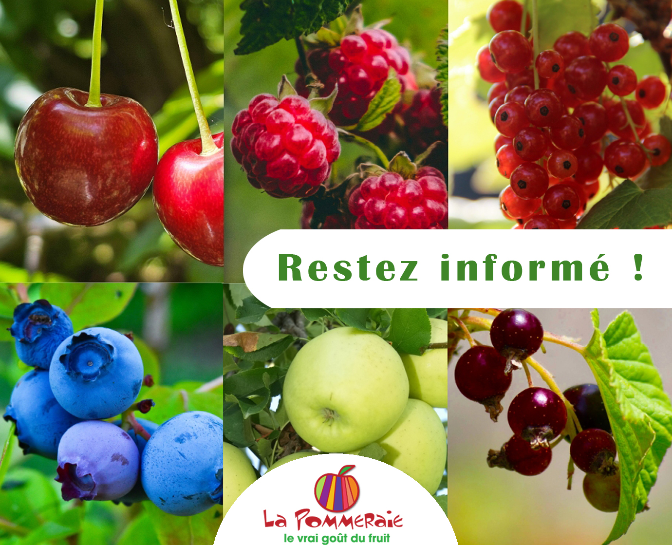 Inscrivez-vous sur notre liste de diffusion !