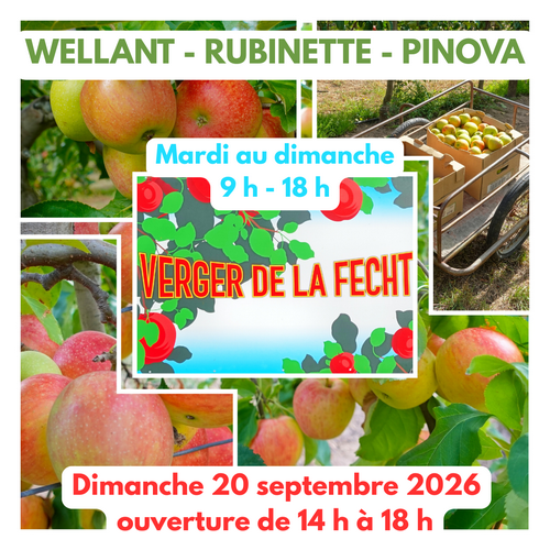 Les pommes Pinova sont en libre cueillette !