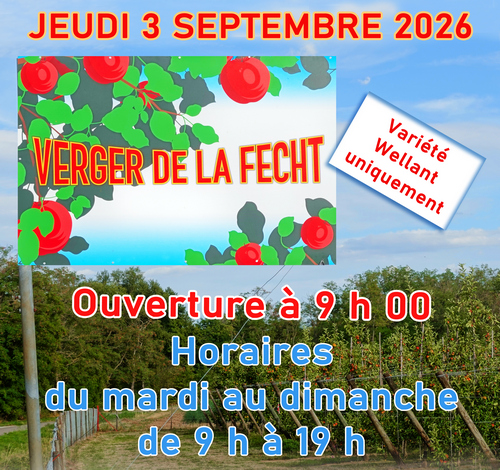 La libre cueillette de pommes est ouverte !
