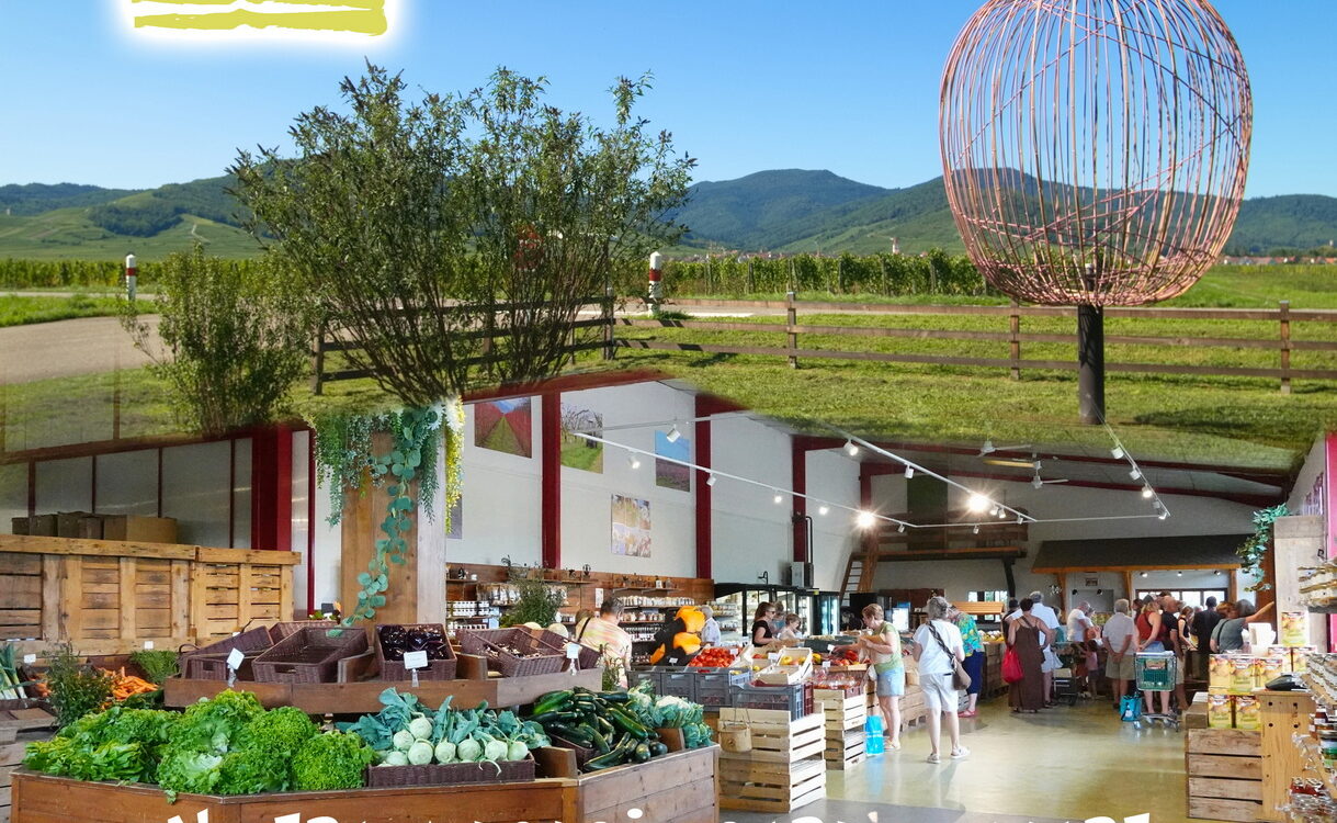 Ouverture du magasin le samedi 15 ao&ucirc;t 2026