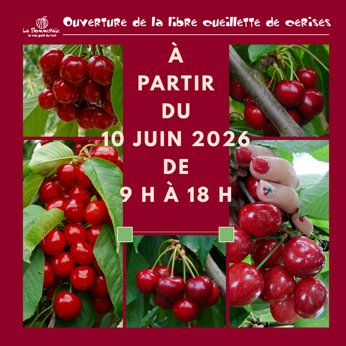 Ouverture de la libre cueillette de cerises 2026 &agrave; La Pommeraie