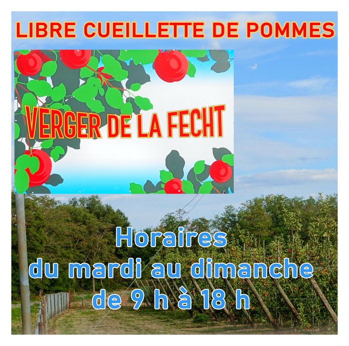 Cueillette de Pommes 2026